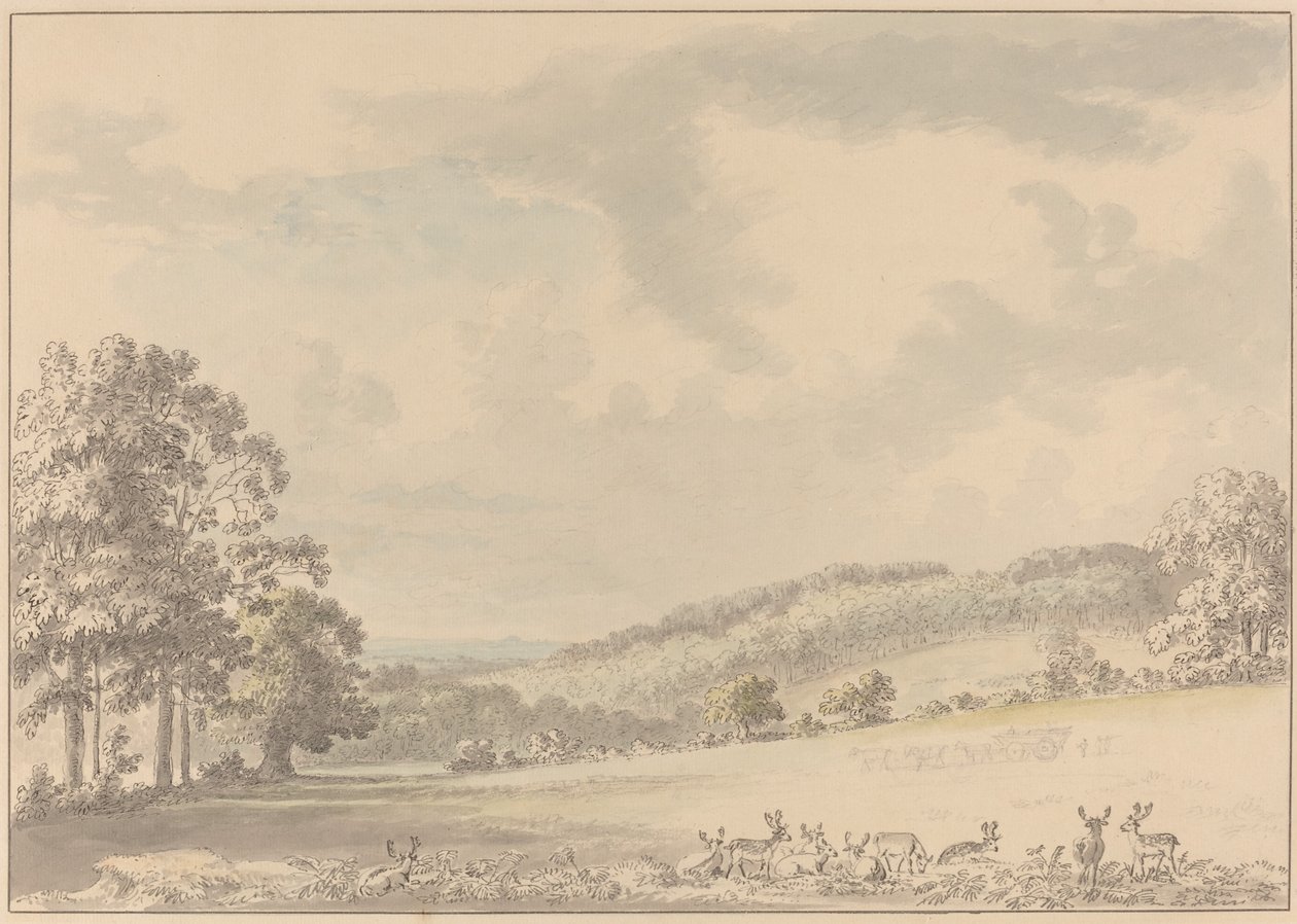 Szarvas pihen az Albury Parkban alkotó: Anthony Devis