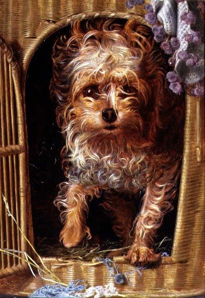 Darby, Yorkshire terrier (olaj a panelen) alkotó: Anthony Frederick Augustus Sandys