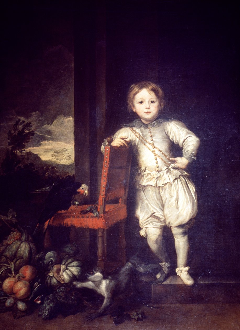Gyermek fehér ruhában, Anthony van Dyck (1599-1641) alkotó: Anthony van Dyck