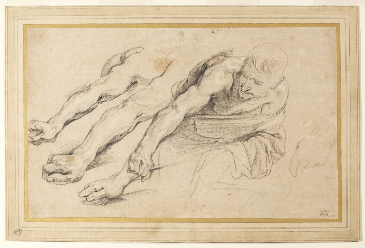 Előrehajló férfi alakja, kinyújtott jobb karjával; három tanulmány a jobb karról és az egyik bal kézről ugyanarra az alakra (kréta papíron) alkotó: Anthony van Dyck