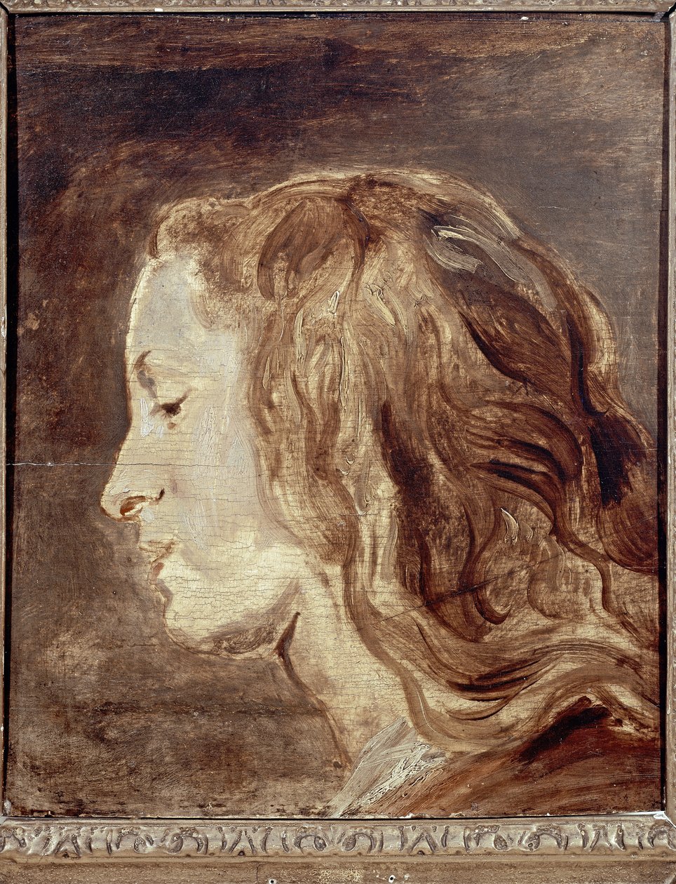 Fejtanulmány, 17. század első fele (olaj a fedélzeten) alkotó: Anthony van Dyck