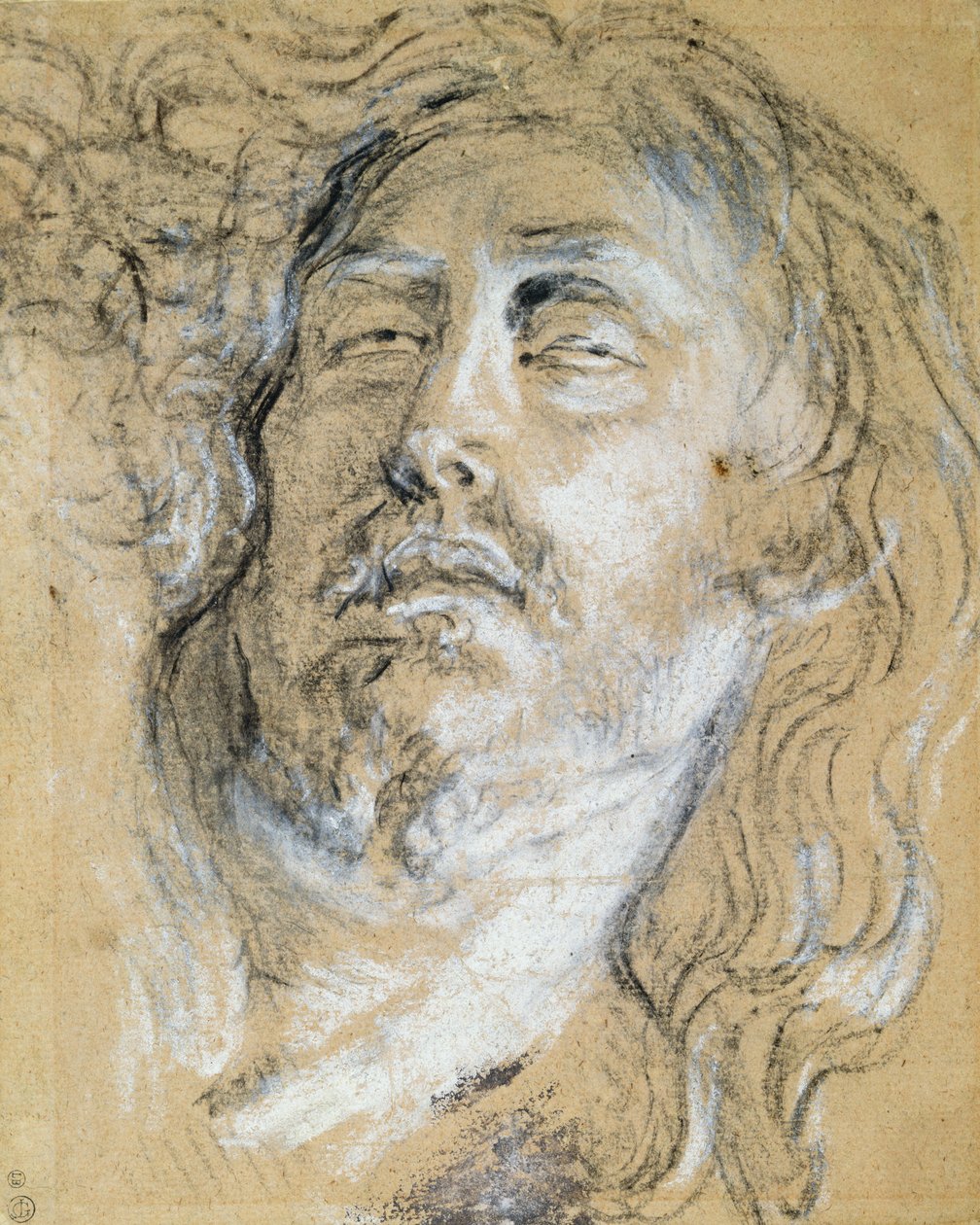 A halott Krisztus feje (faszén és kréta papíron) alkotó: Anthony van Dyck
