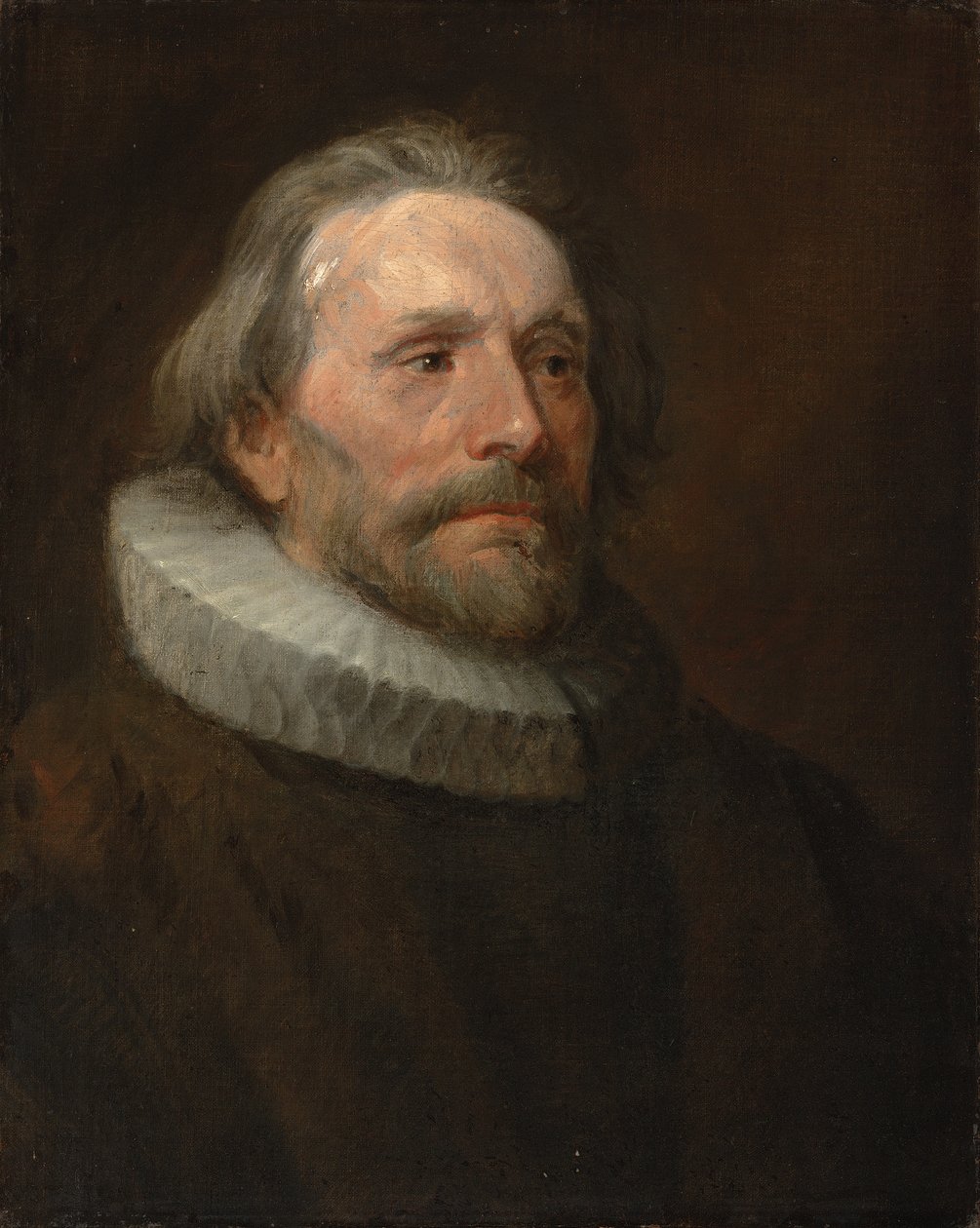 Fej-tanulmány egy férfi ruffban alkotó: Anthony van Dyck