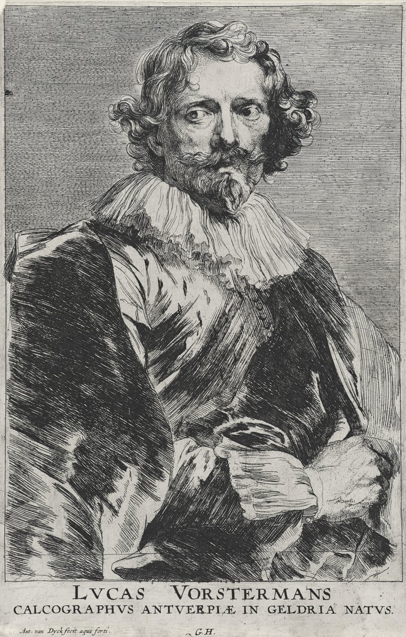 Lucas Vosterman, 1628-1632 (metszet fektetett papírra metszett) alkotó: Anthony van Dyck