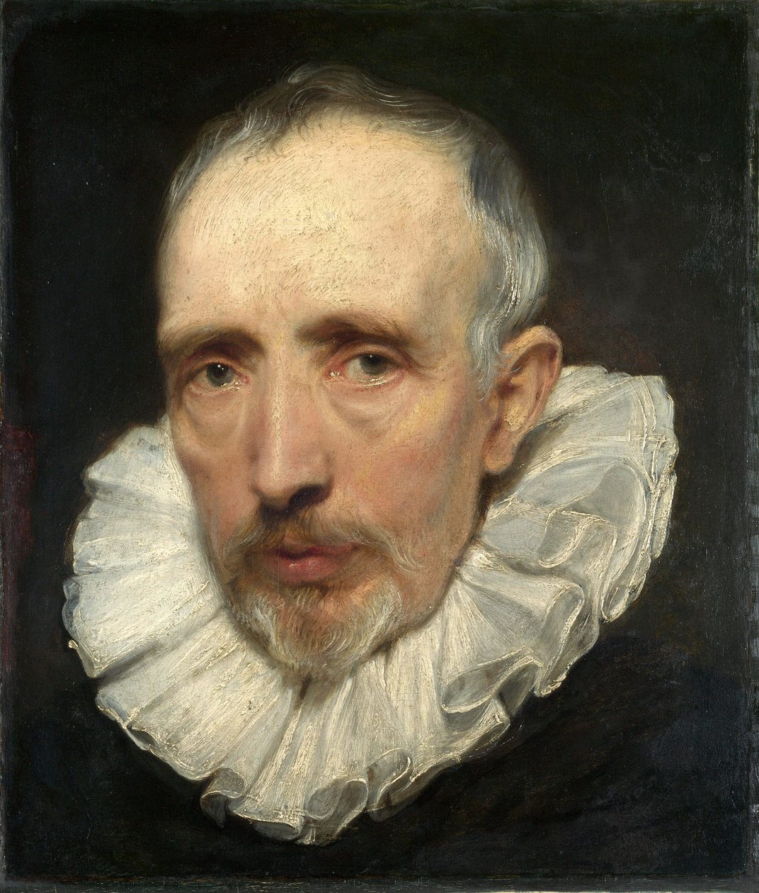 Cornelis van der Geest portréja alkotó: Anthony van Dyck