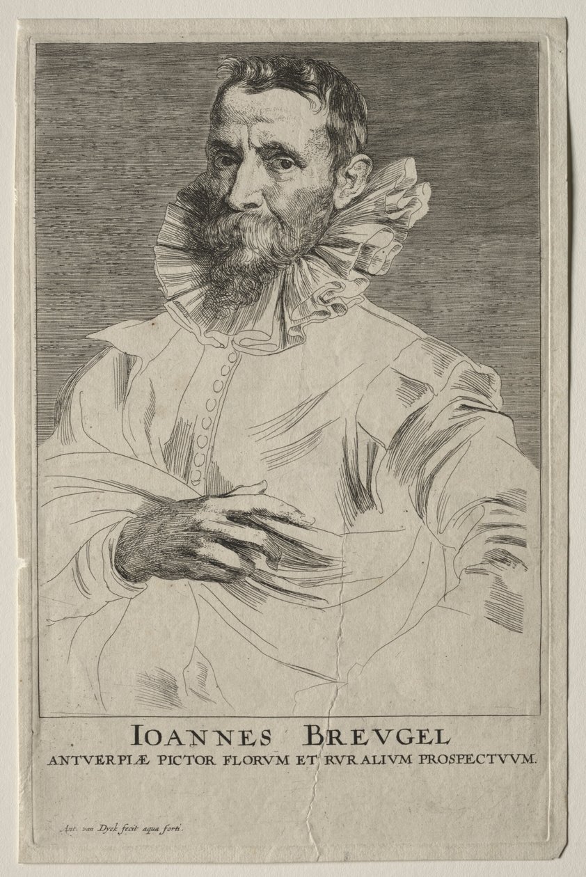 Jan Brueghel portréja. alkotó: Anthony van Dyck
