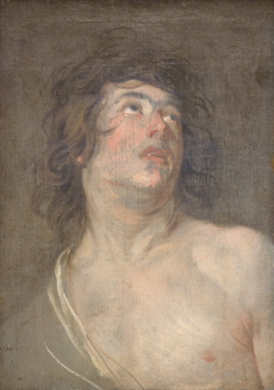 Felfelé néző fiatal férfi tanulmányvezetője. Szent Sebestyén alkotó: Anthony van Dyck