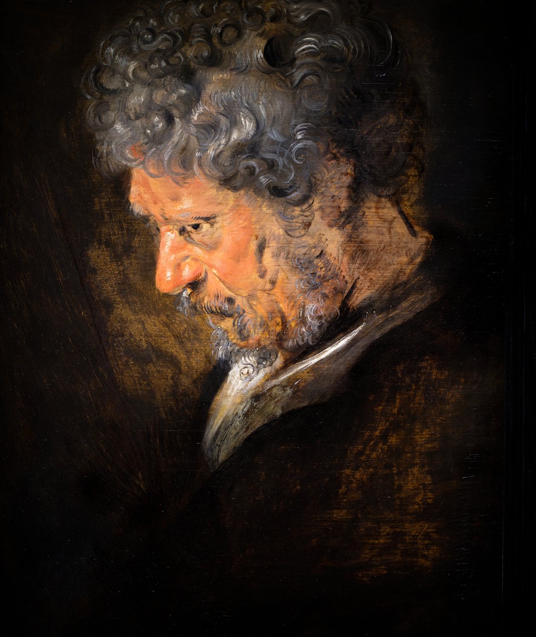 Tanulmány egy idős férfi fejéről: bal profil (részlet) alkotó: Anthony van Dyck