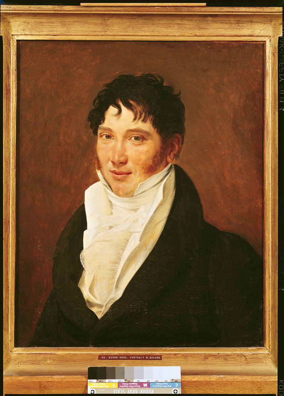 Antoine Jerome Balard (1802-76) portréja alkotó: Antoine Jean Gros