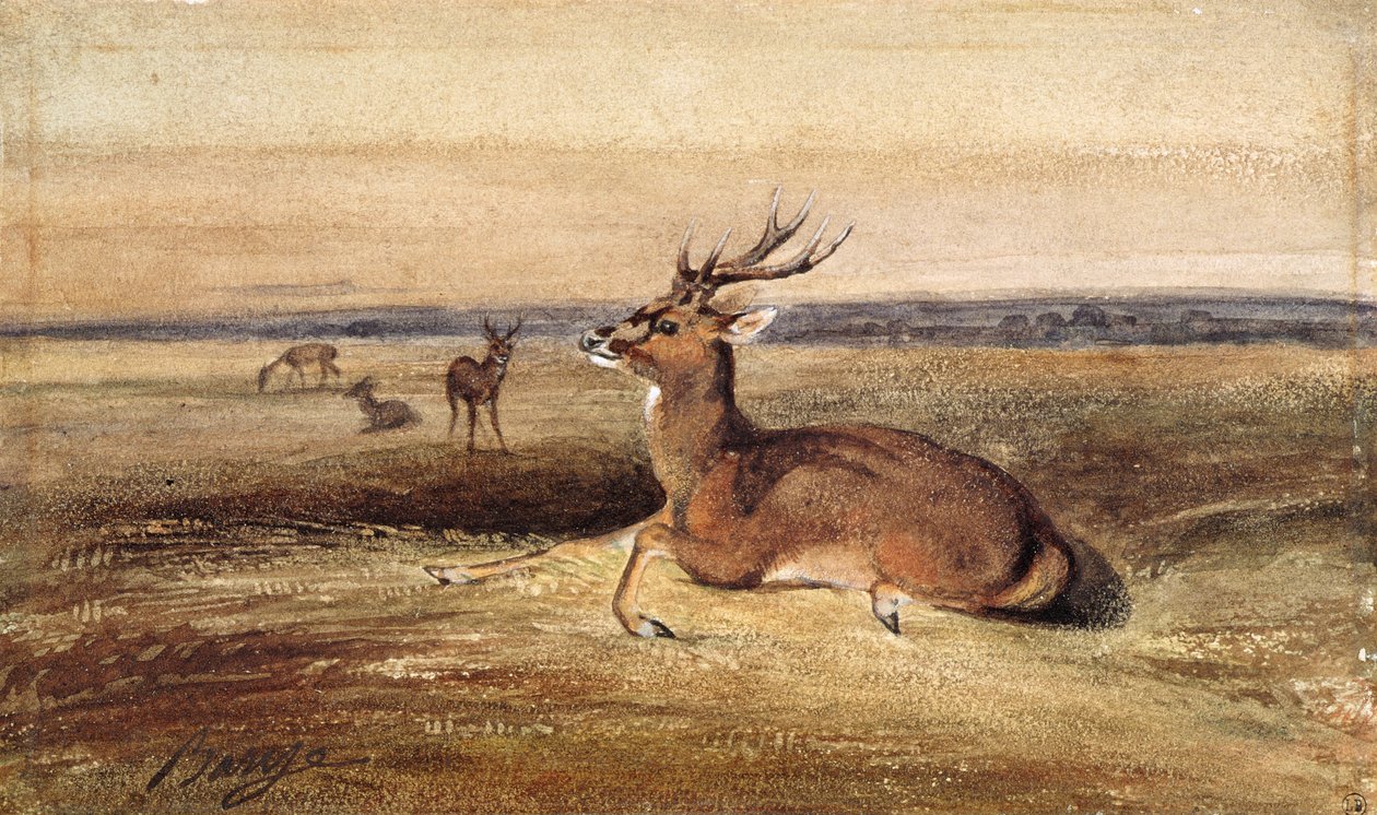 Pihenő Szarvas alkotó: Antoine Louis Barye