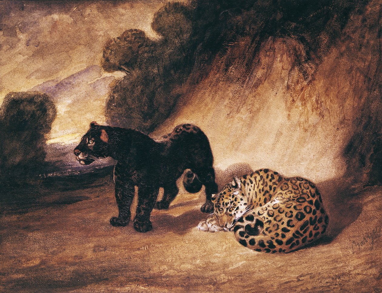Két Jaguár Peruból alkotó: Antoine Louis Barye