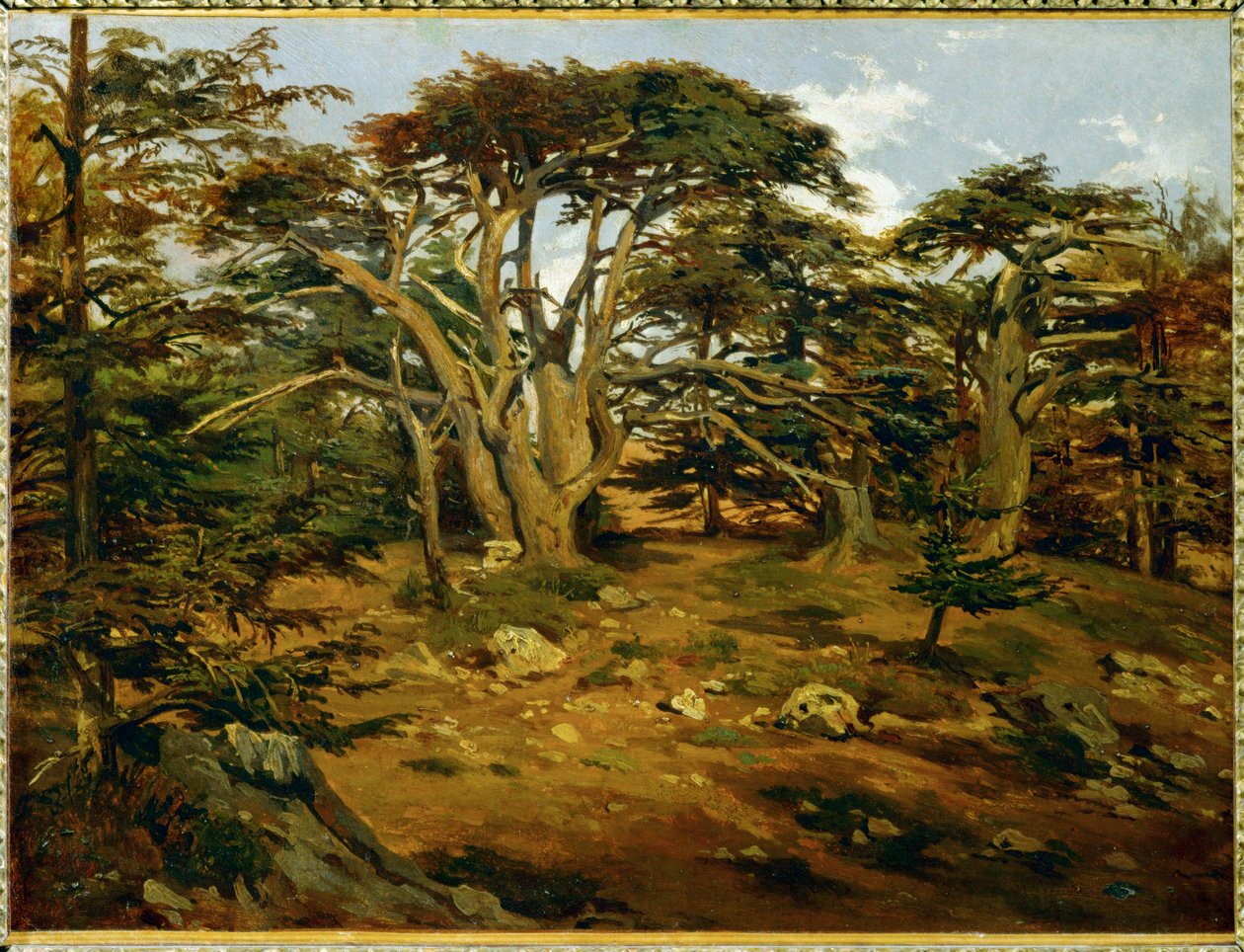 Les vieux cedres sur le Mont Liban - Öreg cédrusfák a Libanoni-hegységben ... alkotó: Antoine Alphonse Montfort