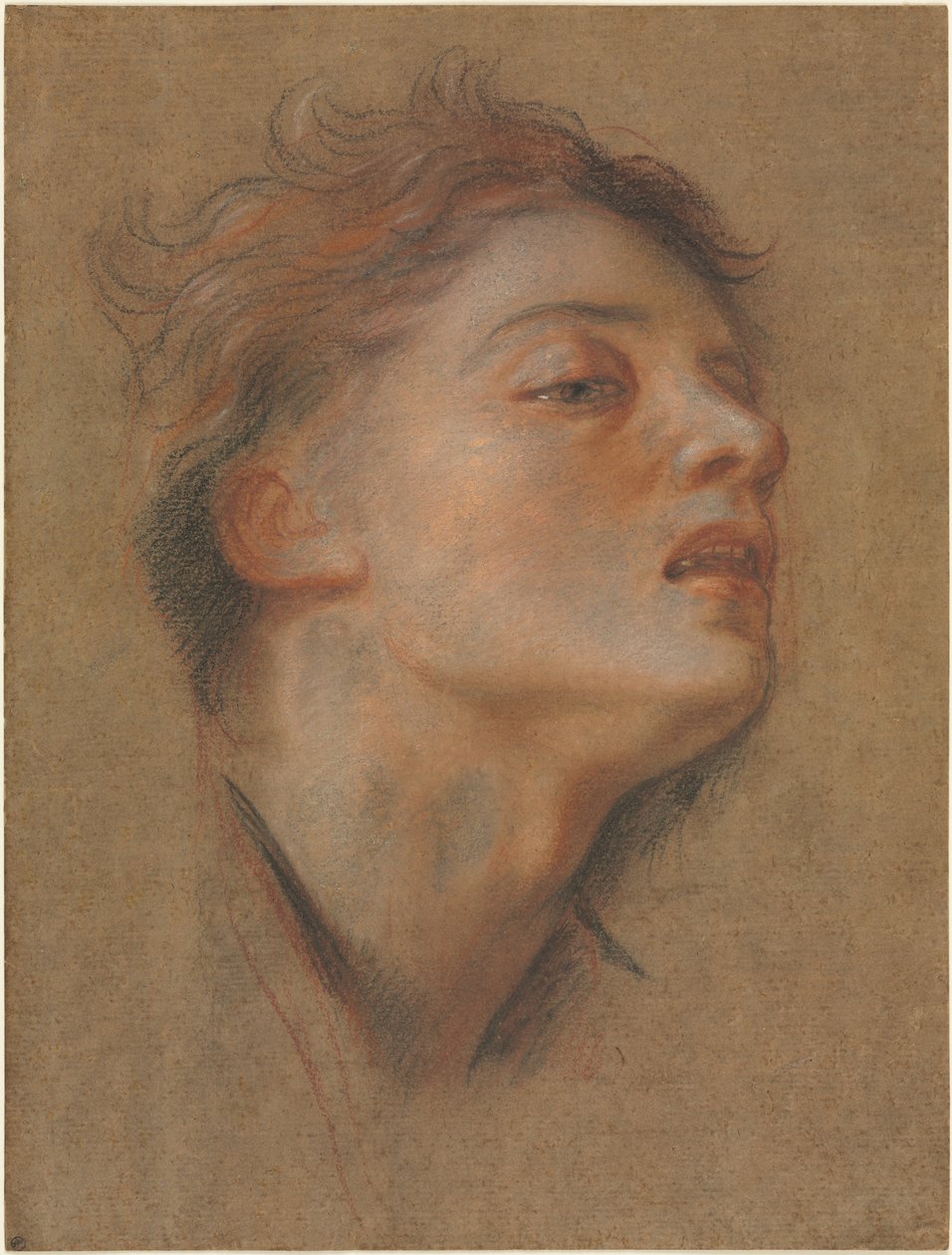 Egy fiatalember feje, 1715-1717. alkotó: Antoine Coypel