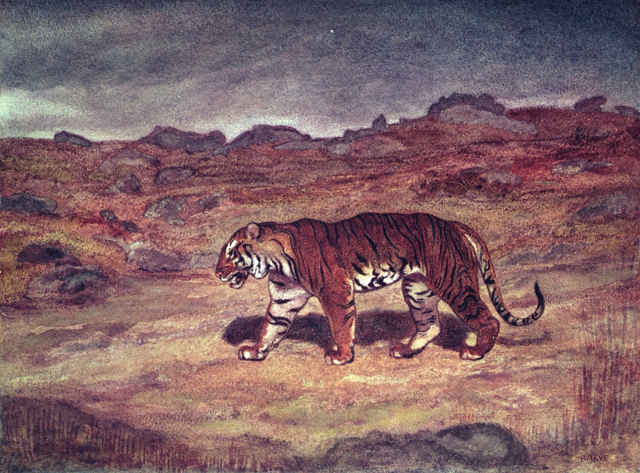 Egy tigris zsákmányára vadászik (wc papíron) alkotó: Antoine Louis Barye