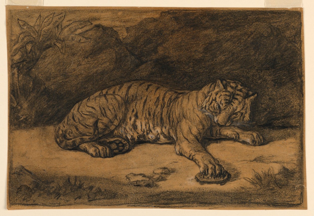 Egy tigris és egy teknős alkotó: Antoine Louis Barye
