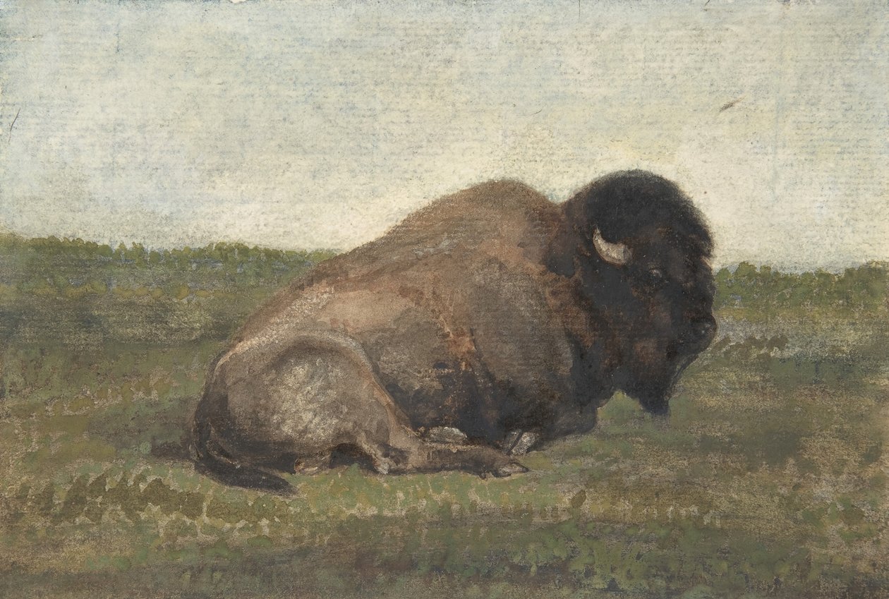 Bölény fekve, 1810-75. alkotó: Antoine Louis Barye