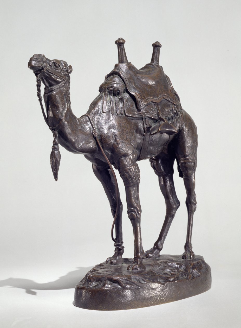 Egyiptomi dromedár hámmal (bronz) alkotó: Antoine Louis Barye