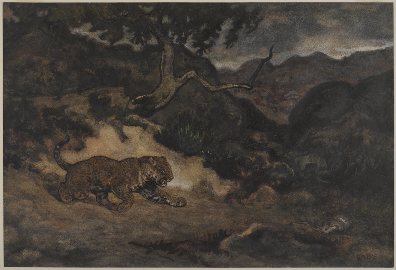 Jaguar felfedez egy kígyót, 1840 körül (wc papíron) alkotó: Antoine Louis Barye
