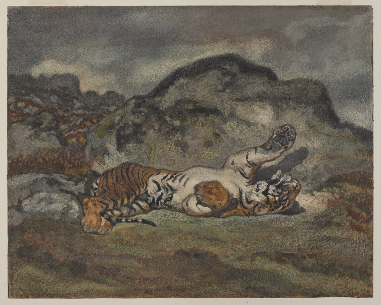 Guruló tigris, 1840 körül (wc papíron) alkotó: Antoine Louis Barye
