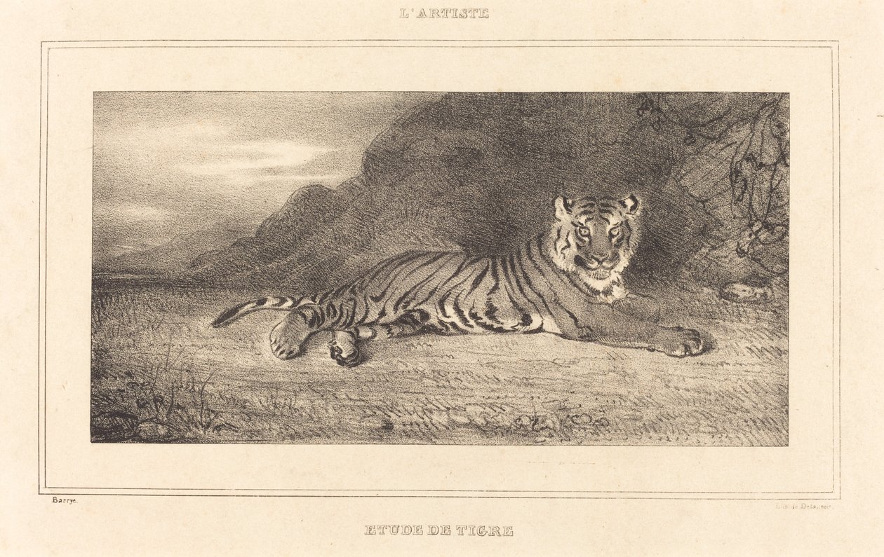Tanulmány egy tigrisről. alkotó: Antoine Louis Barye