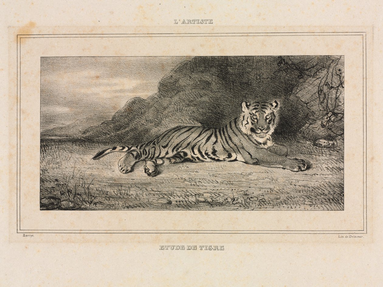 Tanulmány egy tigrisről, 1832. alkotó: Antoine Louis Barye