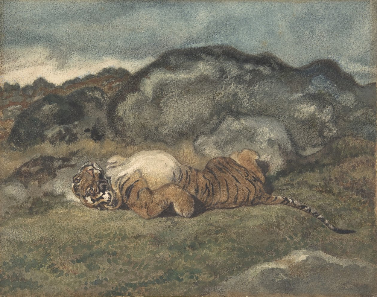 A háton gördülő tigris, 1810-75. alkotó: Antoine Louis Barye