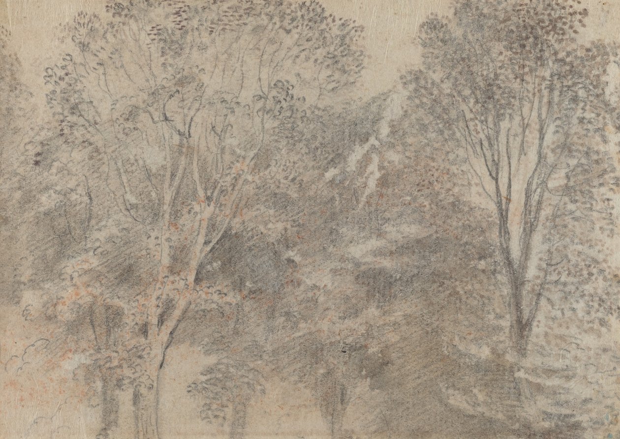 Fák teteje [verso] alkotó: Antoine Watteau