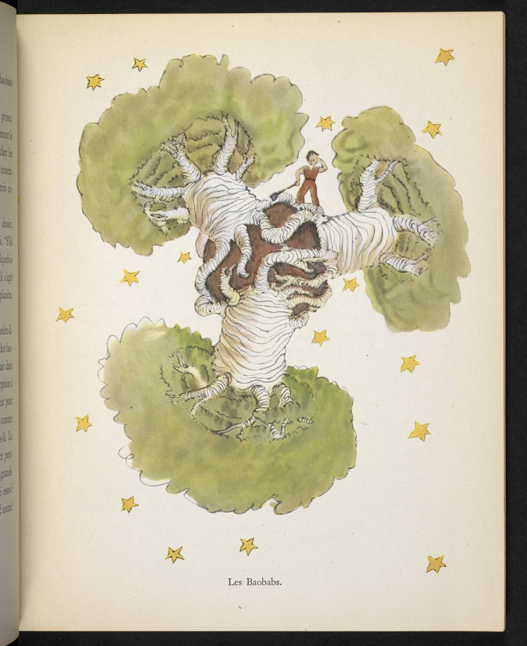 A Baobabok, illusztráció Antoine de Saint-Exupéry "Le Petit Prince" című művéből. alkotó: Antoine de Saint Exupery