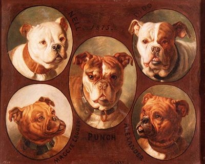 Nell, Dido, Punch, Maggie Lauder és Alexander, angol bulldogok alkotó: Antoine or Tony Dury