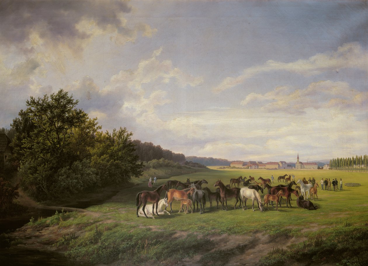 Kilátás a Kladrub Ménesfarmra Csehországban, 1850 alkotó: Anton Schiffer