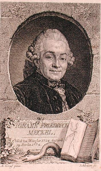 Johann Friedrich Meckel (1724-76) portréja John Schleuen (fl.1740-74) metszetében (metszet) alkotó: Anton (after) Graff