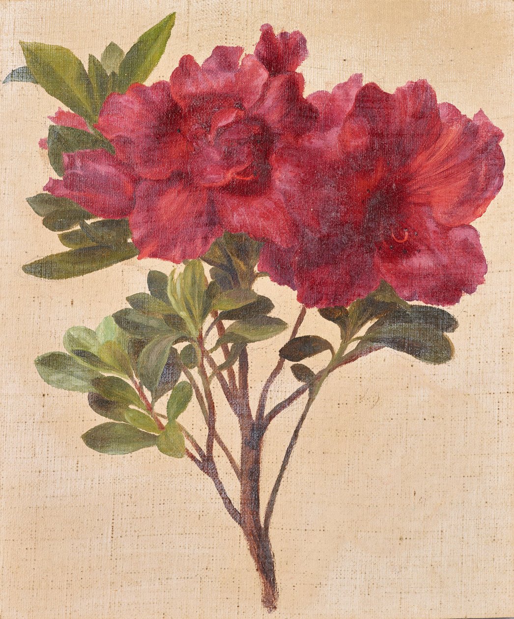 Rhododendronok alkotó: Anton Hartinger