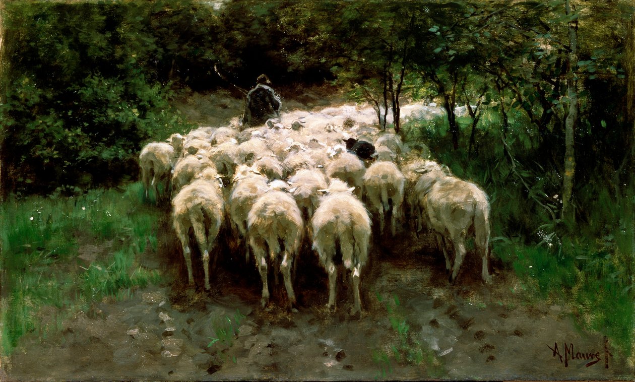 Birkák az erdőben, 19. század. alkotó: Anton Mauve