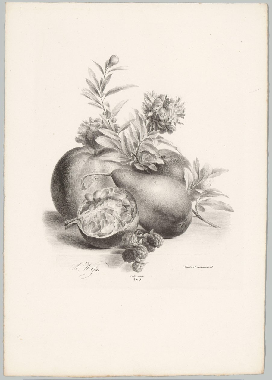 Virágok, alma, körte, gránátalma és szeder Flower and Fruit Studies (...) 10. epizód (sorozat címe) alkotó: Anton Weiss