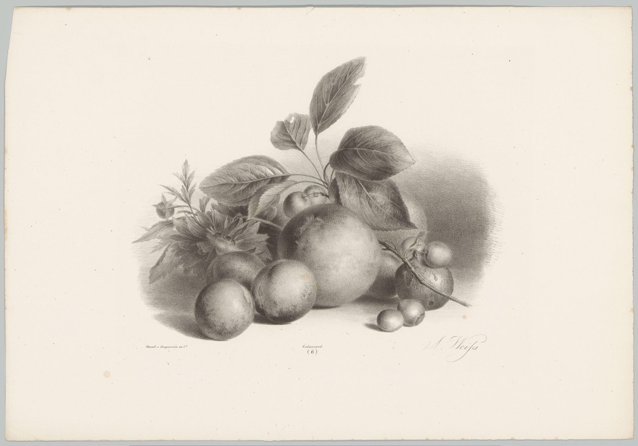 Virágok, nektarin és mogyoró Flower and Fruit Studies (...) 10. epizód (sorozat címe) alkotó: Anton Weiss