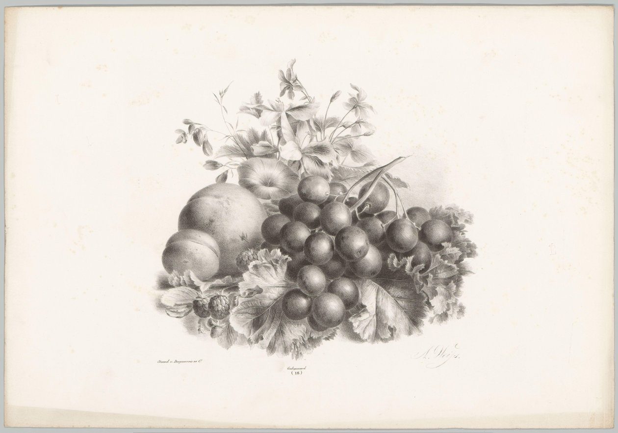 Virágok, őszibarack, nektarin, szőlő és szeder Flower and Fruit Studies (...) 10. epizód (sorozat címe) alkotó: Anton Weiss