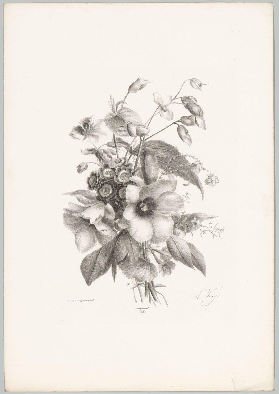 Különféle virágok Flower and Fruit Studies (...) 10. epizód (sorozat címe) alkotó: Anton Weiss