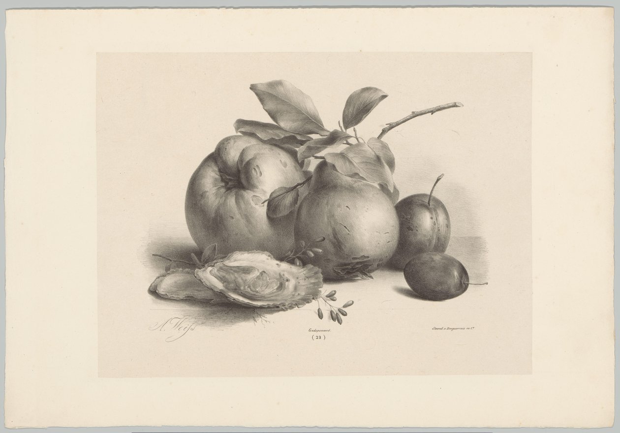 Gyümölcs, szilva és osztriga Flower and Fruit Studies (...) 10. epizód (sorozat címe) alkotó: Anton Weiss