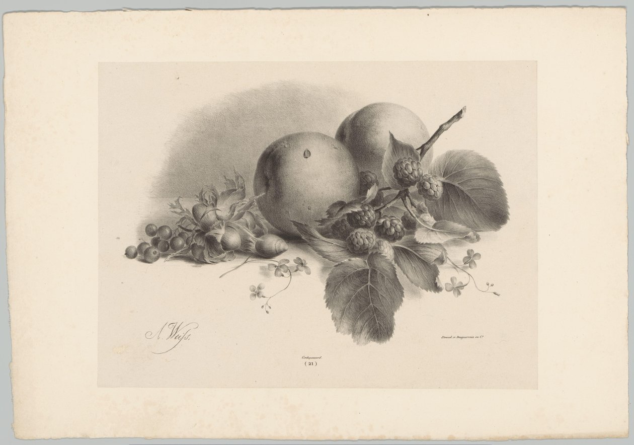 Őszibarack, bogyós gyümölcsök, mogyoró és szeder Flower and Fruit Studies (...) 10. epizód (sorozat címe) alkotó: Anton Weiss