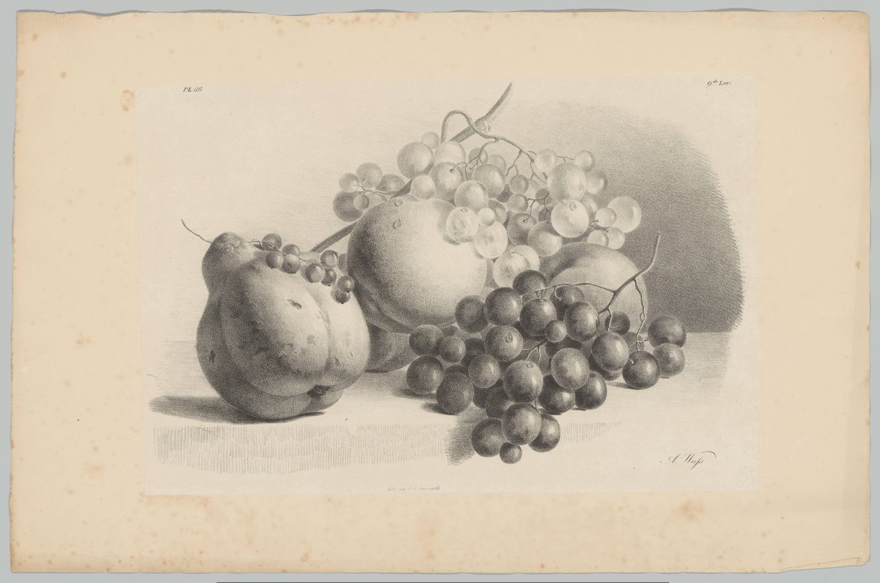 Sütőtök, bogyók, szőlő és őszibarack Flower and Fruit Studies (...) 3. epizód (sorozat címe) alkotó: Anton Weiss