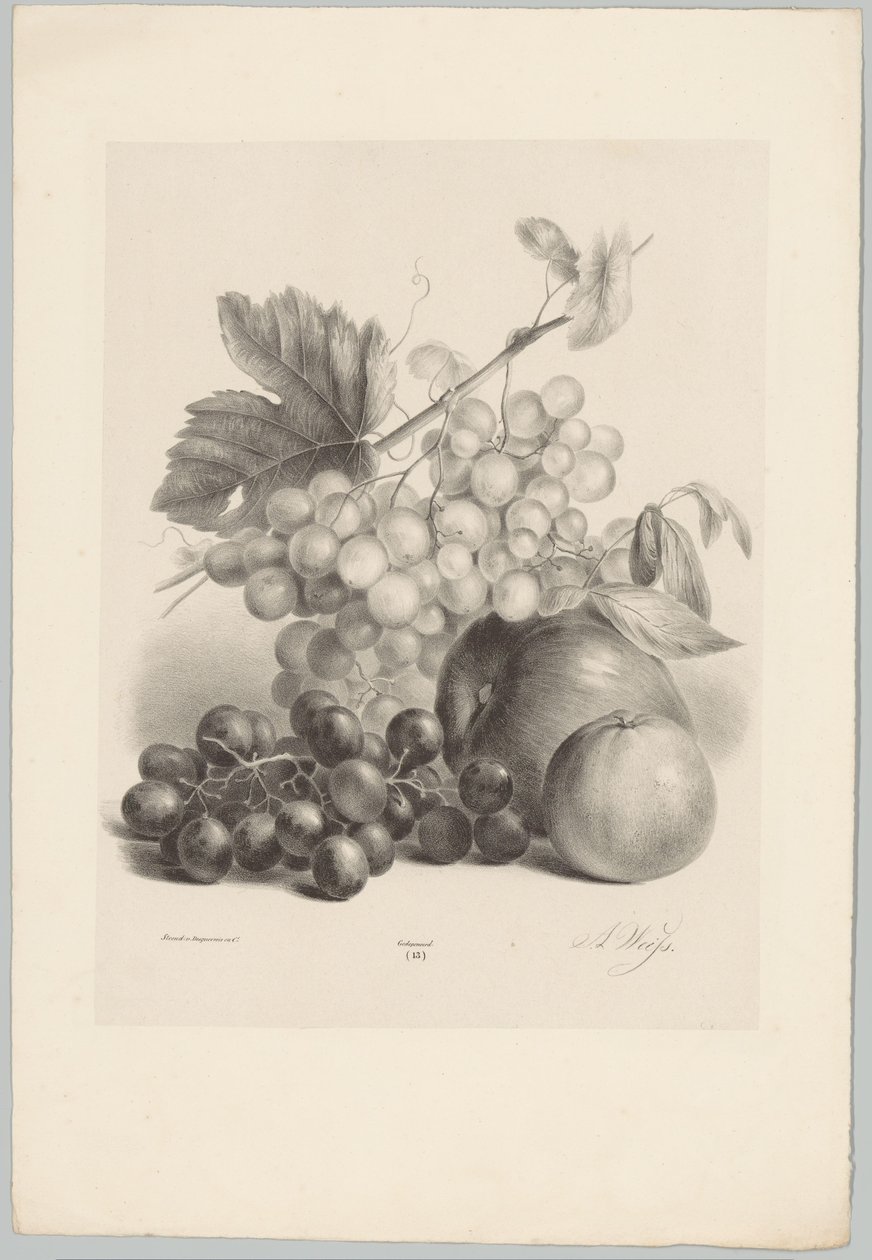 Vörös és fehér szőlő és alma Flower and Fruit Studies (...) 10. epizód (sorozat címe) alkotó: Anton Weiss
