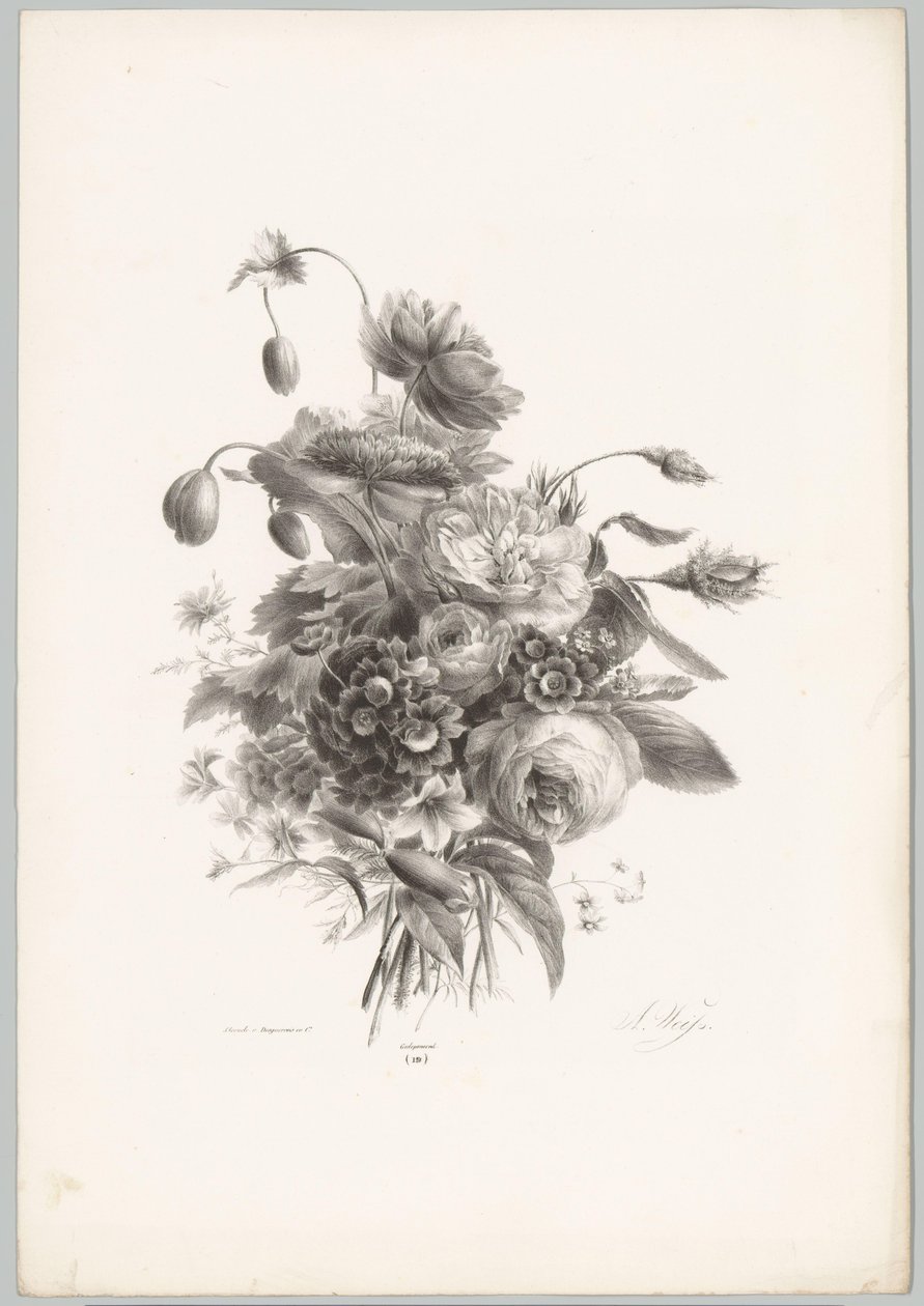 Rózsák és egyéb virágok Flower and Fruit Studies (...) 10. epizód (sorozat címe) alkotó: Anton Weiss
