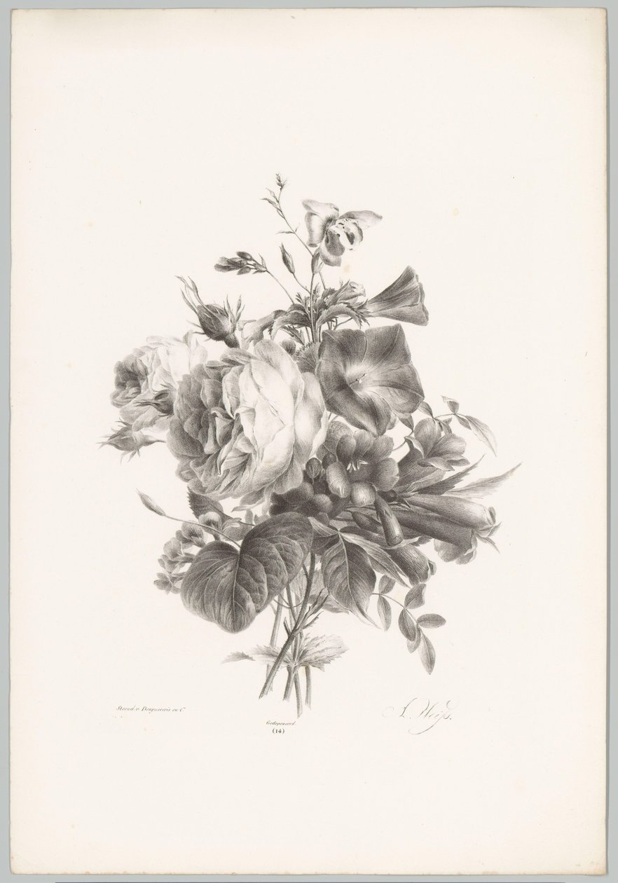 Rózsák és kehely alakú virágok Flower and Fruit Studies (...) 10. epizód (sorozat címe) alkotó: Anton Weiss