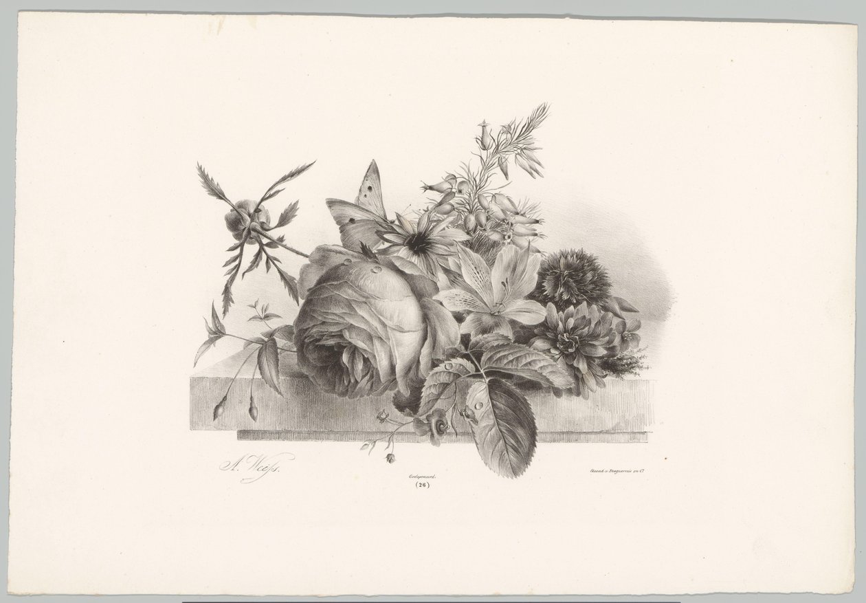 Rózsák, liliomok, harang alakú virágok és pillangó Flower and Fruit Studies (...) 10. epizód (sorozat címe) alkotó: Anton Weiss