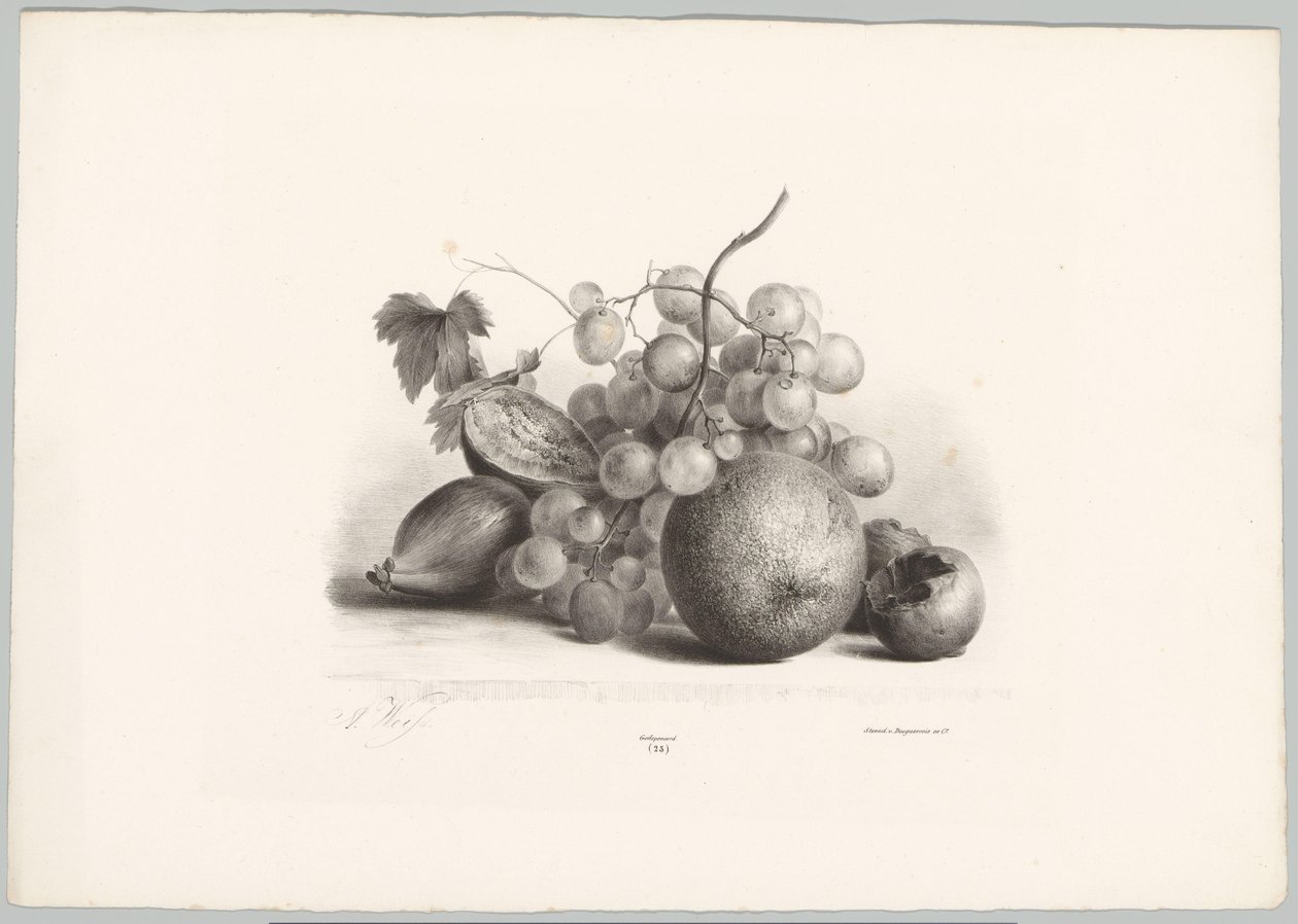 Füge, szőlő és narancs Flower and Fruit Studies (...) 10. epizód (sorozat címe) alkotó: Anton Weiss