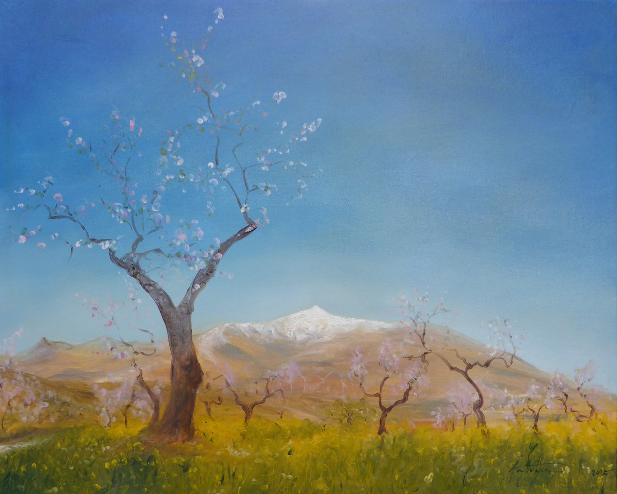 Mandulavirág hófödte Sierra Nevada-hegyen, 2016 alkotó: Antonia Myatt