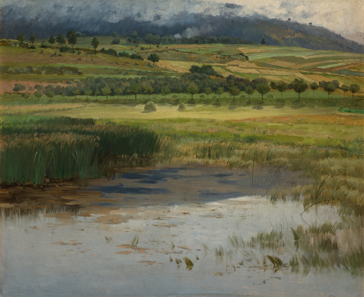 A megfulladt tavacska, 1887 alkotó: Antonin Chittussi
