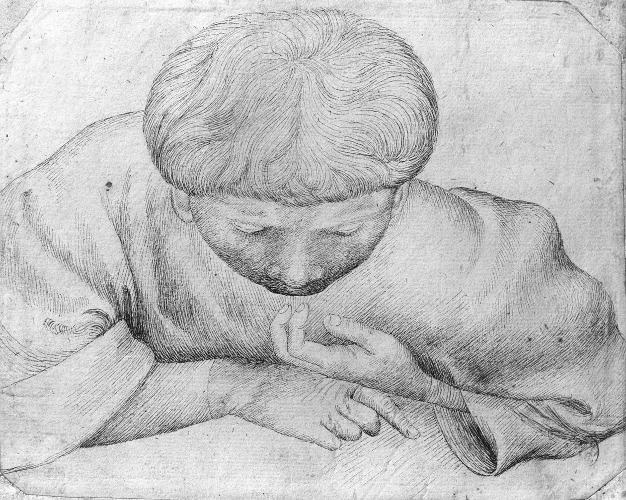 Fiú olvas, a Vallardi albumból alkotó: Antonio Pisanello
