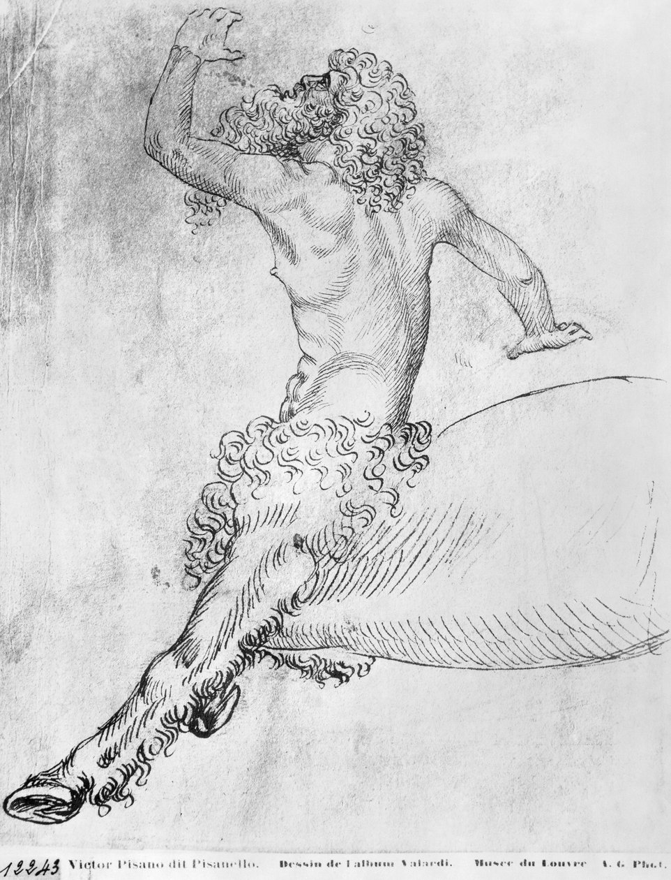 Centaur, a Vallardi albumból alkotó: Antonio Pisanello