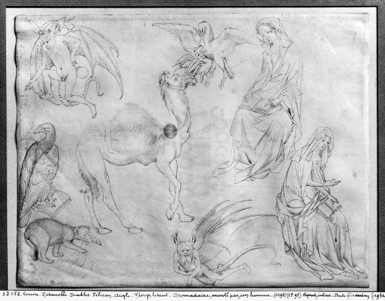 Tanulmányi lap, a The Vallardi Albumból alkotó: Antonio Pisanello